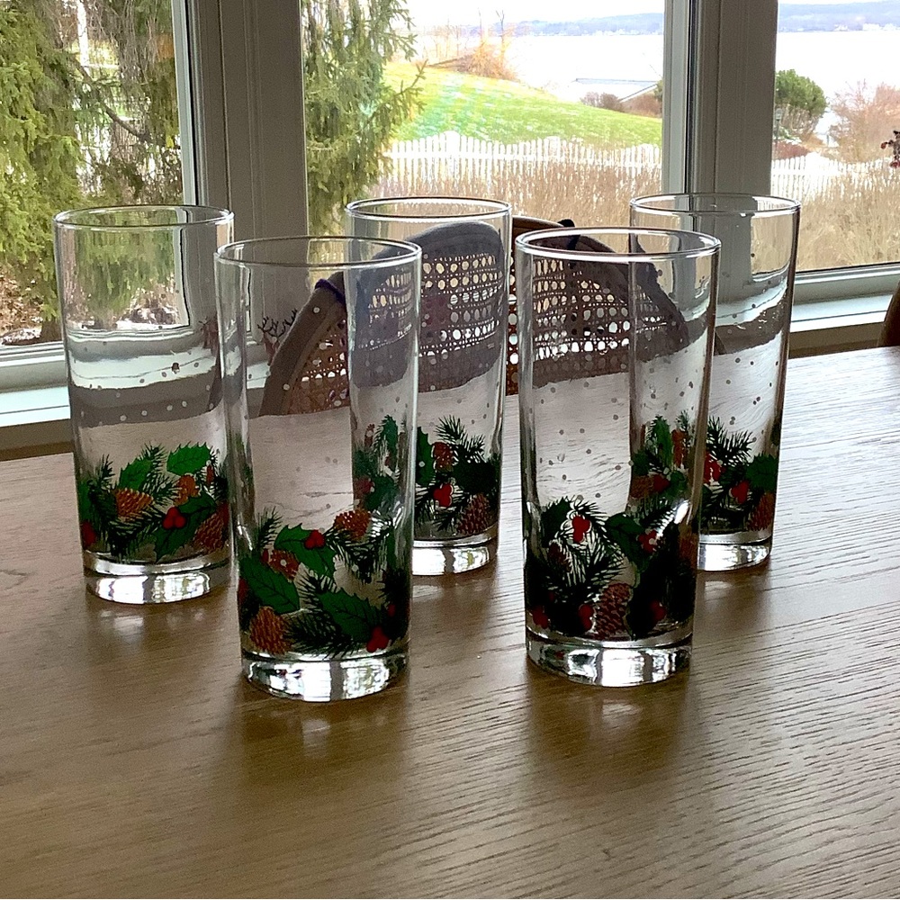 Rare vintage, Libby, pinecone and Holly glasses set of five